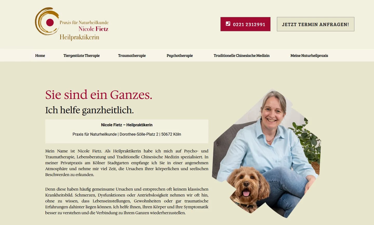 Nicole Fietz — Website